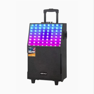 DIFFUSORE ATTIVO 12" RICARICABILE 1500W RGB BT FM AUX MIC IN REC USB MEM CARD 2XMICROFONI TELECOMANDO 15VDC