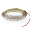 Striscia Led 60Led/ m 2835 - 12V - 4,8W/m - Bianco freddo 5MT