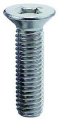VITE FILETTO M3 x L.4mm 