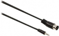 Cavo audio maschio DIN  5 pin - Maschio da 3,5 mm 2m Nero