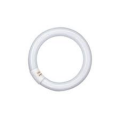 CIRCOLINA 22WATT 1300 LUMEN LUCE FREDDA 6500K TRIFOSFORO