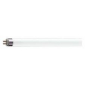 Tubo neon 35Watt - 145mm - 6500K Luce fredda 230VAC ATTACCO T5