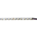 STRISCIA RGBW 60LED/M CONFIGURAZIONE R/G/B/W AL METRO