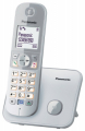 PANASONIC CORDLESS DECT VIVAVOCE RETROILLUMINATO RUBRICA 120 VOCI BLOCCO CHIAMATE - SILVER